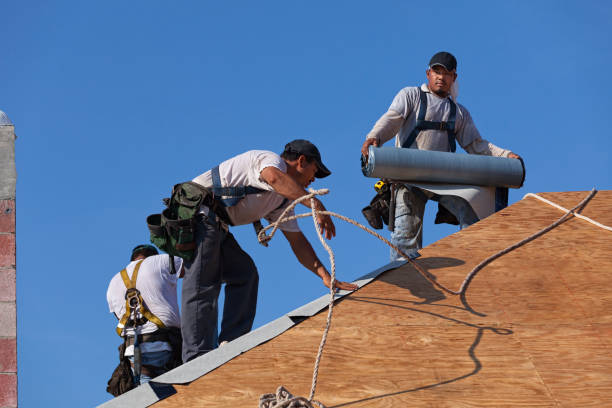 Best Storm Damage Roof Repair  in Dunedin, FL
