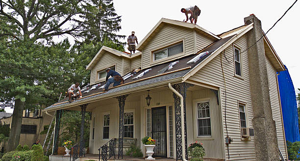 Best Gutter Installation and Roofing  in Dunedin, FL