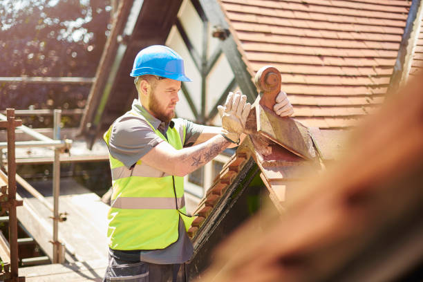 Best Best Roofing Contractors  in Dunedin, FL